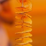 Resep Kentang Tornado Renyah dan Krispi, Camilan Kekinian yang Mudah Dibuat di Rumah