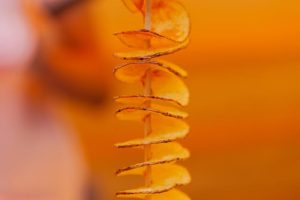 Resep kentang tornado