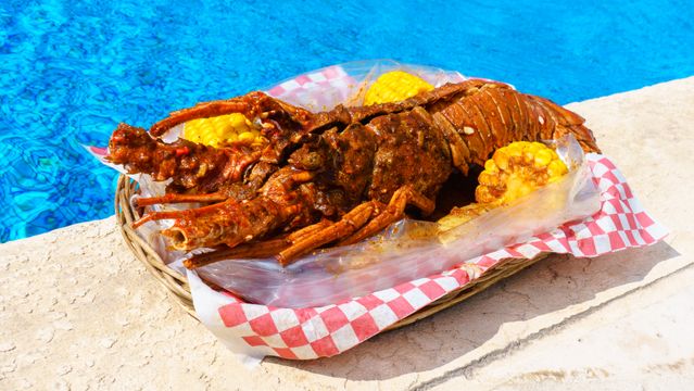 kandungan lobster